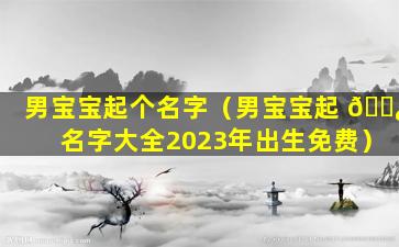 男宝宝起个名字（男宝宝起 🌿 名字大全2023年出生免费）